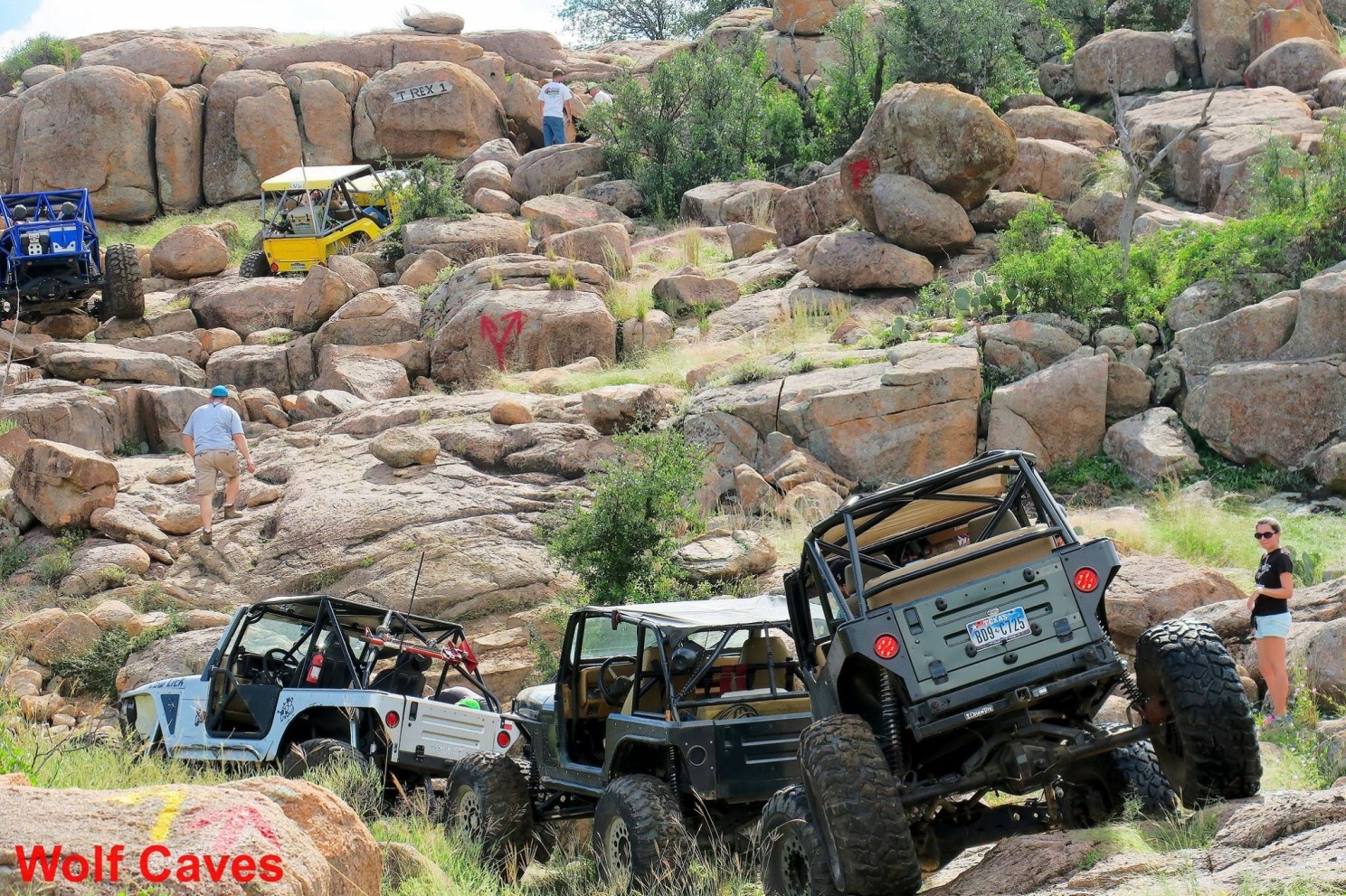 Andrew Wooley Leading the Pack